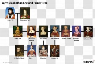 tudor family tree ks2