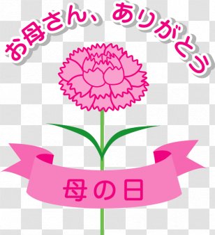 Nobel Prize In Physics Science Mathematics Classical Mechanics - Cut Flowers Transparent PNG