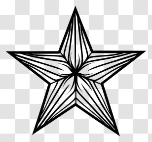 Star Shape - Ornate Black Star Design Illustration Transparent PNG