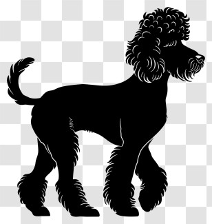Dog Silhouette - Elegant Poodle Silhouette Design Transparent PNG
