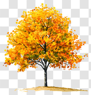 Yellow Maple Tree - Autumn Tree Illustration With Yellow Leaves Transparent PNG