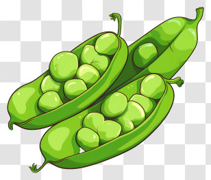 Freshly Picked Peas - Fresh Green Pea Pods Full Of Life Transparent PNG