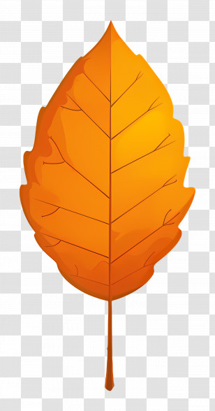 Autumn Leaf On Soil - Illustration Of A Single Autumn Orange Leaf Transparent PNG