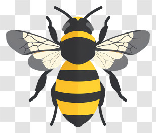 Bumblebee - Yellow And Black Bee Illustration Transparent PNG
