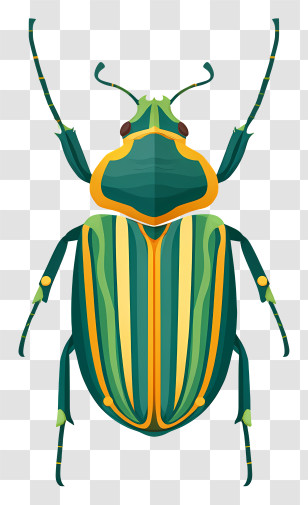 Scarab Beetle - Green Beetle Cartoon Illustration Transparent PNG