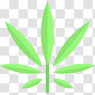 Cannabis Leaf - Light Green Cannabis Leaf Botanical Illustration Transparent PNG