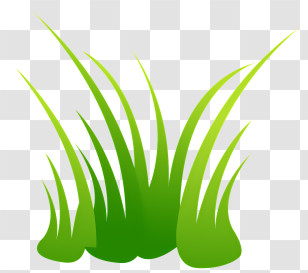 Shrub - Green Grass Illustration For Nature Decor Transparent PNG