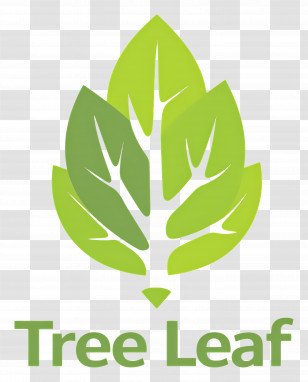 Tree Leaf - Tree Leaf Logo Transparent PNG