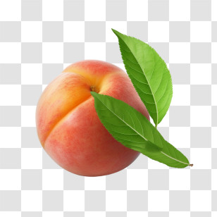 Peach - Juicy Peach With Green Leaves In Realistic Style Transparent PNG