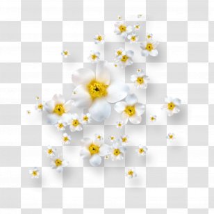 Flower Image Vector Graphics Clip Art - Painting Transparent PNG