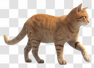 Walking Cat Side View - Orange Tabby Cat Walking Transparent PNG