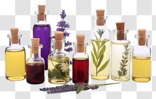Essential Oils - Essential Oil Bottles With Herb And Flower Elements Transparent PNG