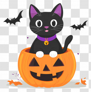 Halloween Black Cat - Black Cat In Halloween Pumpkin Illustration Transparent PNG