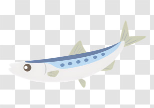 Icon - Blue And White Fish Drawing Transparent PNG