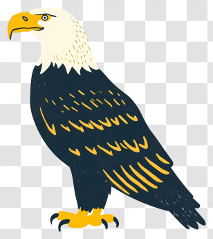 Eagle - Eagle Illustration Transparent PNG