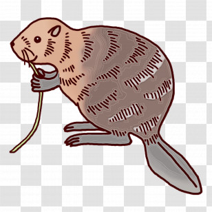 Beaver Computer Mouse Mad Catz R.a.t. M Transparent PNG