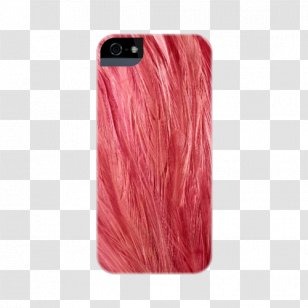 IPhone 6S Inch Close-up Clock Elephant & Feather - Post Cards - Television Advertisement Transparent PNG