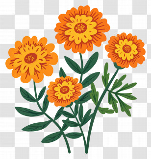 Marigold Flowers - Illustrated Marigold Flowers With Bright Petals Transparent PNG