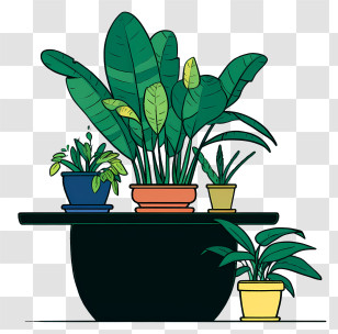 Plants - Potted Houseplants Arranged On A Table Transparent PNG