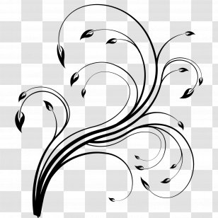 Clip Art - Artwork - Floral Line Transparent PNG
