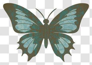 Blue Butterfly - Beautiful Green Winged Butterfly Transparent PNG