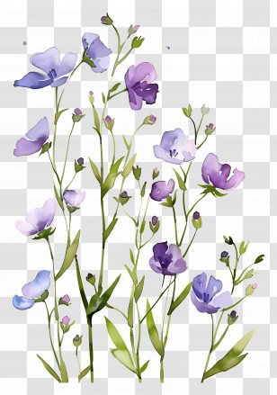Flower Background - Purple Wildflowers Watercolor Illustration Transparent PNG