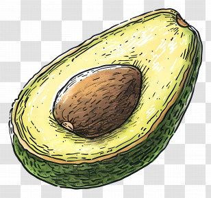 Sliced Avocado Showing Seed - Sliced Avocado Illustration Showing Seed Transparent PNG