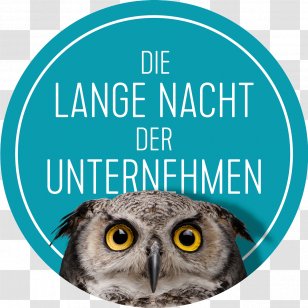 Northern Saw-whet Owl Photography Black-and-white FILMFALT Media Transparent PNG