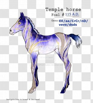 Mustang Stallion Foal Colt Mare - Bridle Transparent PNG