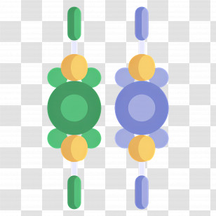 Raksha Bandhan - Colorful Beaded Necklaces Transparent PNG
