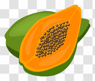 Papaya - Illustration Of A Fresh Papaya Slice Transparent PNG
