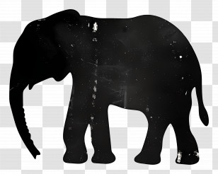 Elephant Silhouette - Elephant Silhouette Design Transparent PNG
