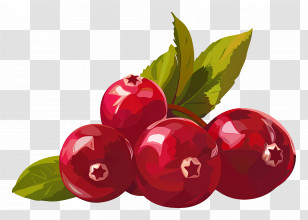 Cranberry - Red Cranberries With Leaves Illustration Transparent PNG