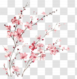Pink Flowers - Pink Blossoming Cherry Tree Branch Illustration Transparent PNG