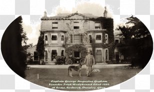 Irish Wolfhound Killykeen Cynology Sighthound Wolfdog - Building - Tourism Transparent PNG