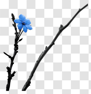 Blue Flower - Single Blue Flower On A Branch Transparent PNG