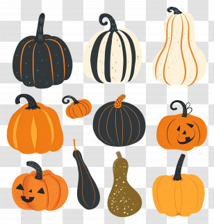 Pumpkins - Colorful Pumpkins And Gourds For Autumn And Halloween Transparent PNG