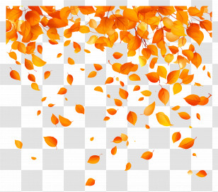 Fallen Leaves - Orange Autumn Leaves Falling Transparent PNG