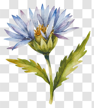 Watercolor Painting - Watercolor Illustration Of Blue Flower Transparent PNG