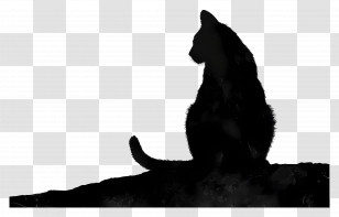 Cat Silhouette - Silhouette Of A Black Cat Transparent PNG