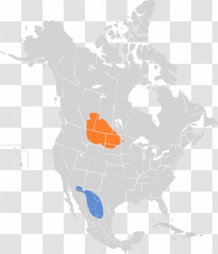 Mojave Desert Sonoran Chihuahuan Great Basin Transparent PNG