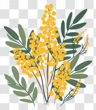 Small Flower - Yellow Mimosa Flowers With Green Leaves Transparent PNG
