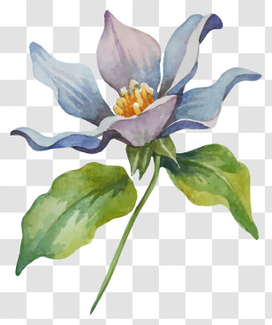 Blue Flower - Artistic Blue Flower Watercolor Painting Transparent PNG