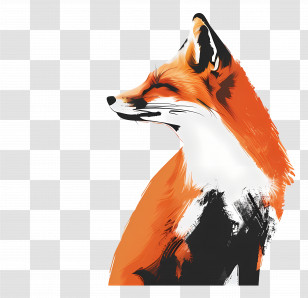 Fox - Elegant Red Fox Illustration Transparent PNG