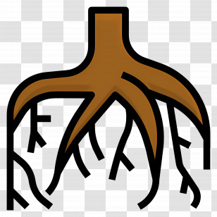 Roots - Tree Roots Illustration Transparent PNG