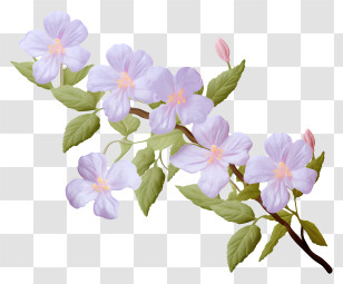 Flowers - Delicate Purple Flowers With Green Leaves Transparent PNG