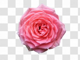 Background Hd Png Images Transparent Background Hd Images