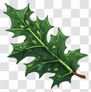 Holly Leaf - Green Holly Leaf Transparent PNG
