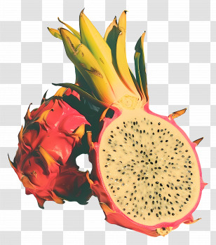 Dragonfruit - Dragon Fruit Illustration With Open Section Transparent PNG