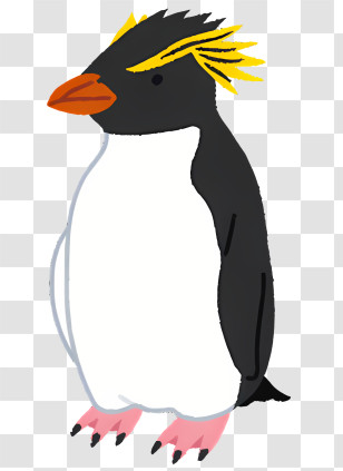 Nature - Rockhopper Penguin Illustration With Cute Details Transparent PNG